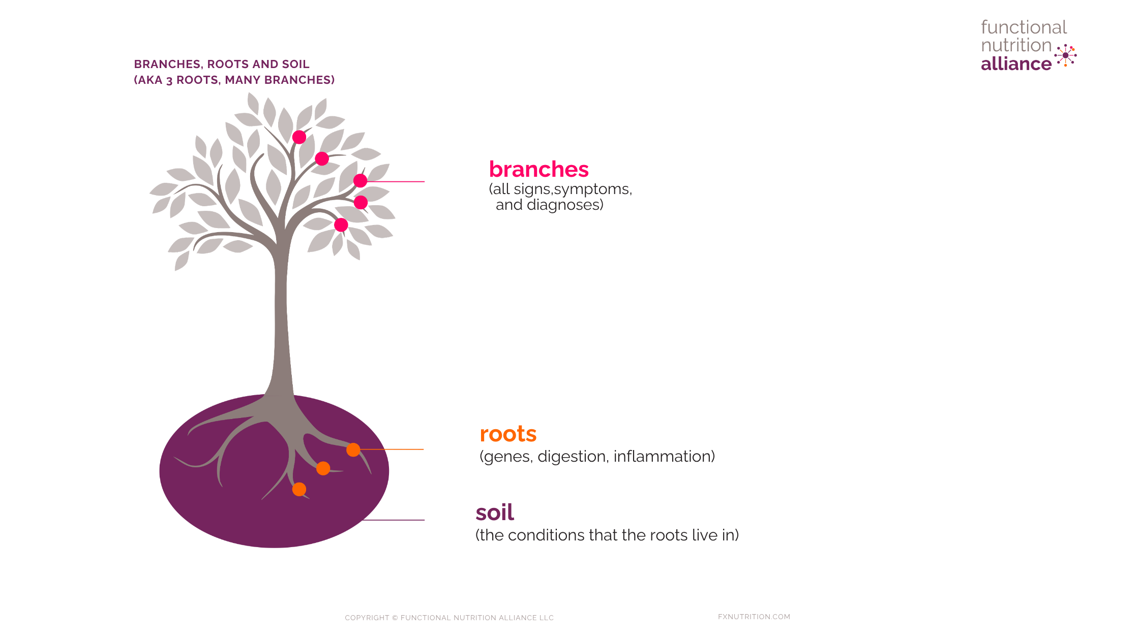 FxNA_branches_roots_and_soil.pdf (Blog Banner)
